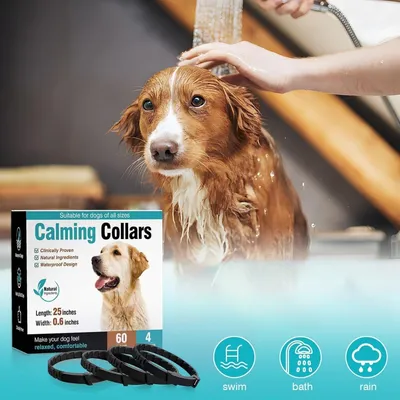 CoolPetGear Colliers apaisants pour chiens 3 pièces