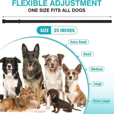 CoolPetGear Colliers apaisants pour chiens  4 pièces