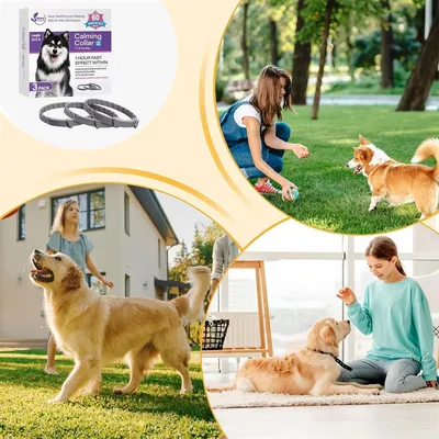 CoolPetGear Colliers apaisants pour chiens  4 pièces