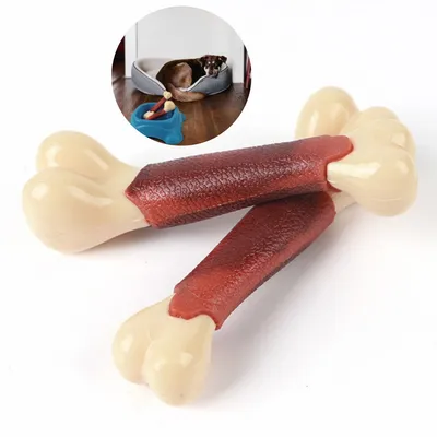 CoolPetGear Bâton à gratter les dents pour chien