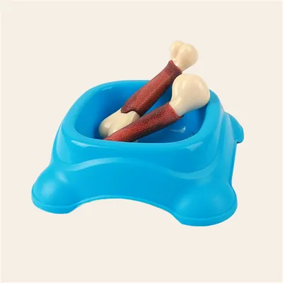 CoolPetGear Bâton à gratter les dents pour chien