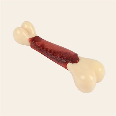 CoolPetGear Bâton à gratter les dents pour chien
