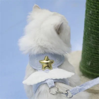 CoolPetGear Traction pour animaux de compagnie