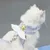CoolPetGear Traction pour animaux de compagnie