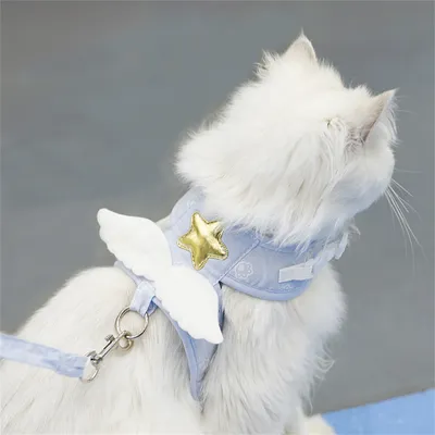 CoolPetGear Traction pour animaux de compagnie