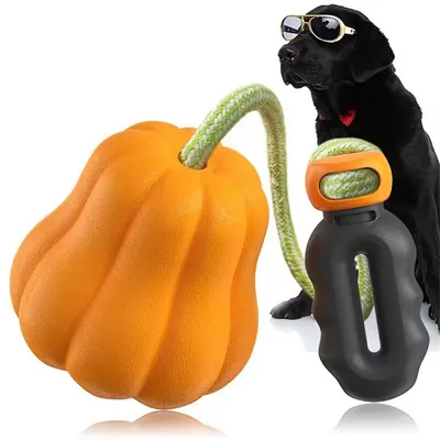 CoolPetGear Ballon pour chiens résistant à la mâche CoolPetGear Ballon pour chiens résistant à la mâche