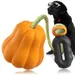 CoolPetGear Ballon pour chiens résistant à la mâche