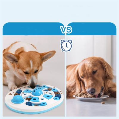 CoolPetGear Bol Slow Food et jouet éducatif