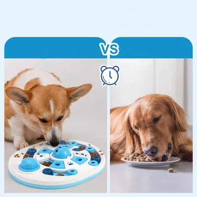 CoolPetGear Bol Slow Food et jouet éducatif