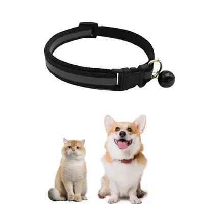 CoolPetGear Collier réfléchissant pour chat