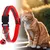 CoolPetGear Collier réfléchissant pour chat