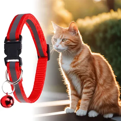 CoolPetGear Collier réfléchissant pour chat
