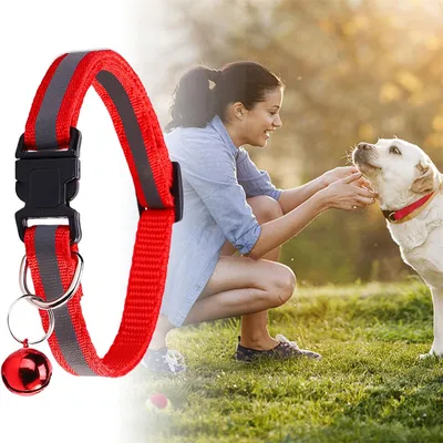 CoolPetGear Collier réfléchissant pour chat