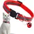 CoolPetGear Collier réfléchissant pour chat