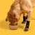 CoolPetGear Anti-Rutsch-Socken für Hunde und Katzen CoolPetGear Anti-Rutsch-Socken für Hunde und Katzen