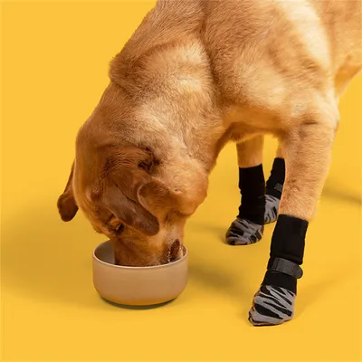 CoolPetGear Anti-Rutsch-Socken für Hunde und Katzen CoolPetGear Anti-Rutsch-Socken für Hunde und Katzen
