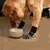 CoolPetGear Anti-Rutsch-Socken für Hunde und Katzen CoolPetGear Anti-Rutsch-Socken für Hunde und Katzen