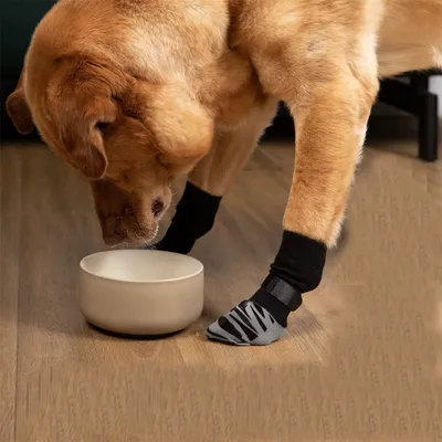 CoolPetGear Anti-Rutsch-Socken für Hunde und Katzen CoolPetGear Anti-Rutsch-Socken für Hunde und Katzen
