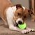 CoolPetGear Boule interactive pour chats et chiens