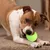 CoolPetGear Boule interactive pour chats et chiens