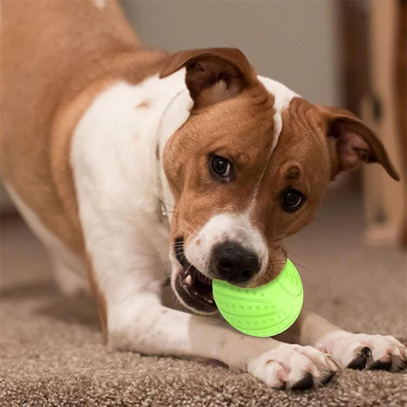 CoolPetGear Boule interactive pour chats et chiens