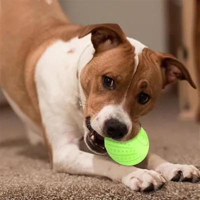 CoolPetGear Boule interactive pour chats et chiens