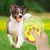 CoolPetGear Boule interactive pour chats et chiens