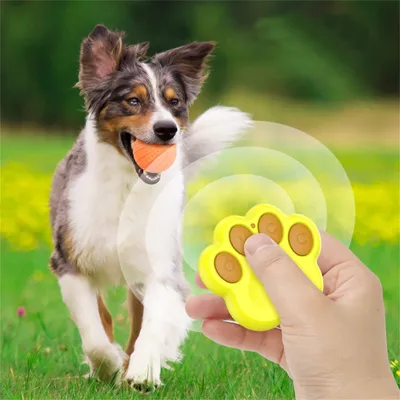 CoolPetGear Boule interactive pour chats et chiens