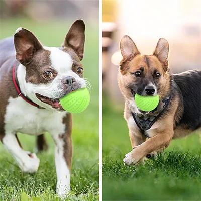 CoolPetGear Boule interactive pour chats et chiens