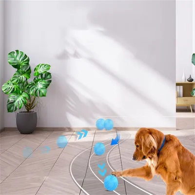 CoolPetGear Boule interactive pour chats et chiens