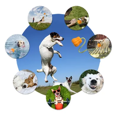 CoolPetGear Ballon pour chiens résistant à la mâche