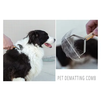 Brosse chien anti poils morts / démêlage Truelove Jack