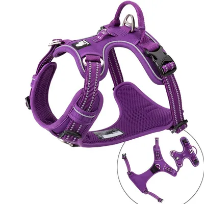 Truelove Country PLUS + Harnais chien dressage anti traction & promenade