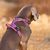 Truelove Country PLUS + Harnais chien dressage anti traction & promenade