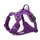 country-violet L : 65 - 80 cm
