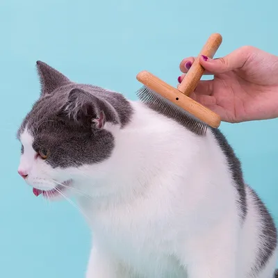 Brosse chien à poils longs Truelove Skin