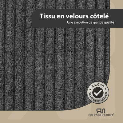 Rohrschneider Escalier pour chien à 2 marches Rohrschneider Escalier pour chien à 2 marches