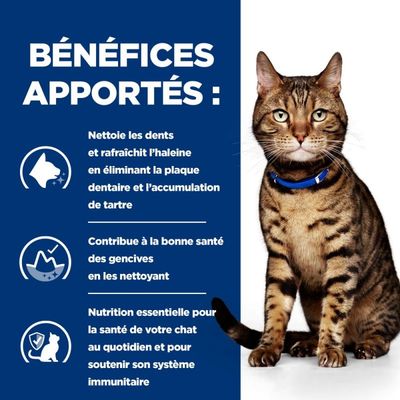HILL'S - Getränke für ausgewachsene Katzen, verschreibungspflichtige Diätf
