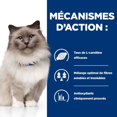 HILL'S -   CHAT ADULT PRESCRIPTION DIETS R/D WEIGHT LOSS