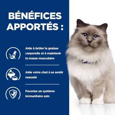 HILL'S -   CHAT ADULT PRESCRIPTION DIETS R/D WEIGHT LOSS
