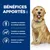 Hill's Croquettes pour chien Adult Prescription Diet J/D Mobility Hill's Croquettes pour chien Adult Prescription Diet J/D Mobility