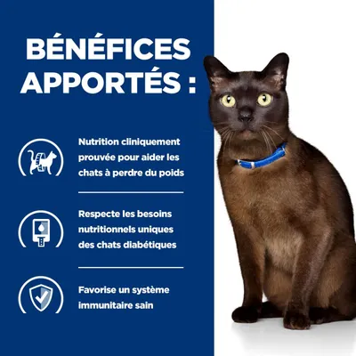 HILL'S - Getränke für erwachsene Katzen, verschreibungspflichtige Diäten,