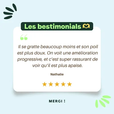 BESTI | Démangeaisons | Compléments Alimentaires Vétérinaires pour Chiens
