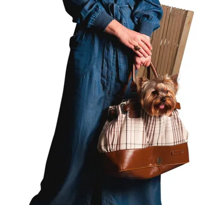 maxxpro Barrière de Chien