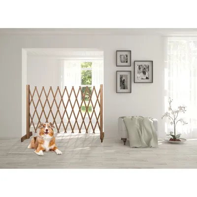 maxxpro Barrière pour Chien en Bois - Largeur Extensible