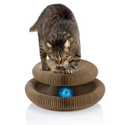 maxxpro Jouet Chat Grattoir