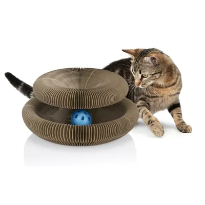 maxxpro Jouet Chat Grattoir maxxpro Jouet Chat Grattoir