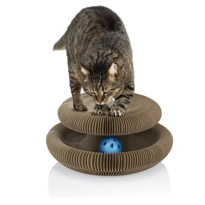 maxxpro Jouet Chat Grattoir maxxpro Jouet Chat Grattoir