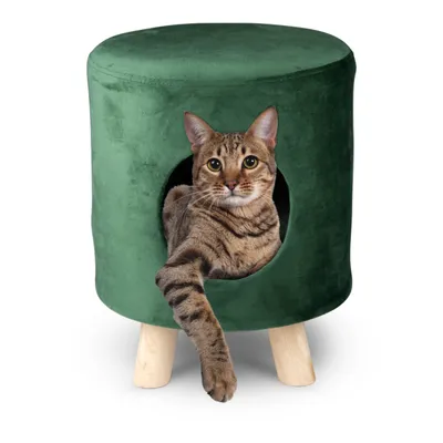 maxxpro Lit pour Chat Pouf