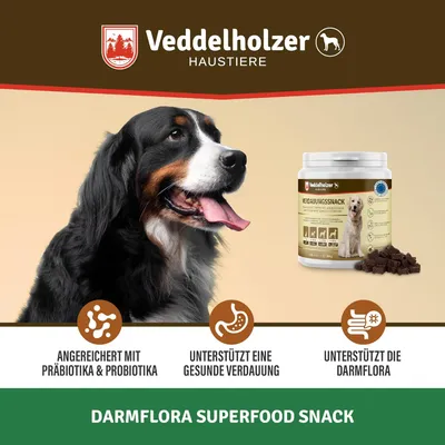 Veddelholzer Probiotiques Chien Friandise Digestive pour Chiens Accessoires Veddelholzer Probiotiques Chien Friandise Digestive pour Chiens Accessoires